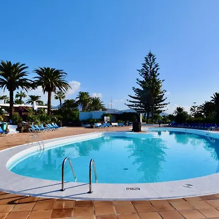 Aloe * פלאיה בלנקה